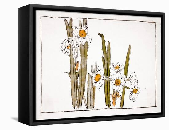 Daffodils a Comparison of Flowers-Zeshin Shibata-Framed Premier Image Canvas