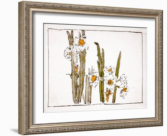 Daffodils a Comparison of Flowers-Zeshin Shibata-Framed Giclee Print