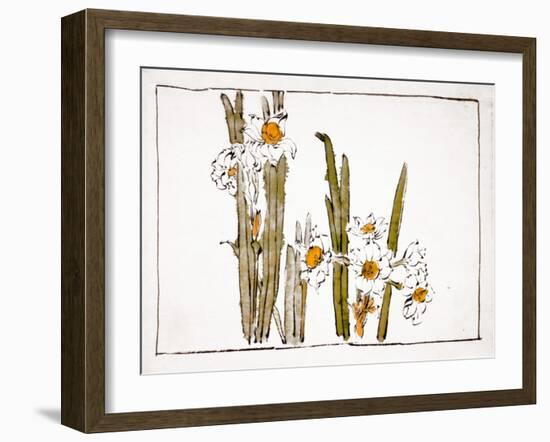 Daffodils a Comparison of Flowers-Zeshin Shibata-Framed Giclee Print