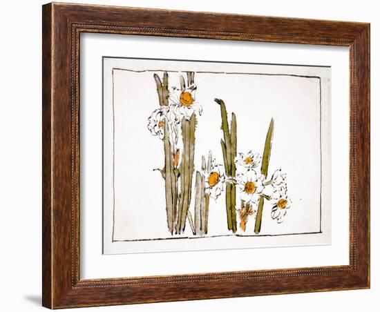 Daffodils a Comparison of Flowers-Zeshin Shibata-Framed Giclee Print