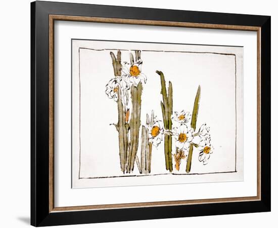 Daffodils a Comparison of Flowers-Zeshin Shibata-Framed Giclee Print