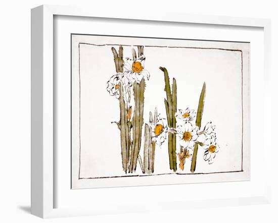 Daffodils a Comparison of Flowers-Zeshin Shibata-Framed Giclee Print