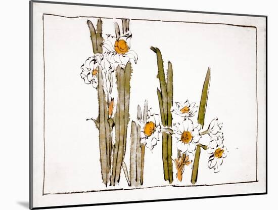 Daffodils a Comparison of Flowers-Zeshin Shibata-Mounted Giclee Print