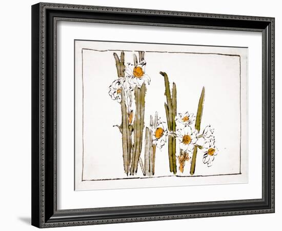 Daffodils a Comparison of Flowers-Zeshin Shibata-Framed Giclee Print