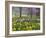 Daffodils and Blossom in Spring, Hampton, Greater London, England, United Kingdom, Europe-Stuart Black-Framed Photographic Print