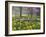 Daffodils and Blossom in Spring, Hampton, Greater London, England, United Kingdom, Europe-Stuart Black-Framed Photographic Print