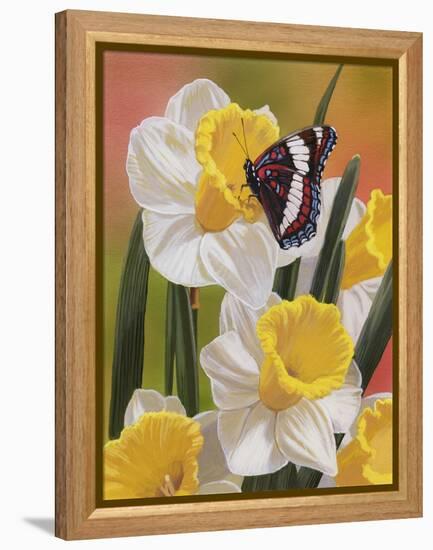 Daffodils and Butterfly-William Vanderdasson-Framed Premier Image Canvas