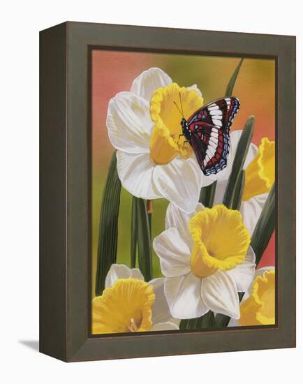 Daffodils and Butterfly-William Vanderdasson-Framed Premier Image Canvas