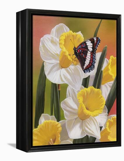 Daffodils and Butterfly-William Vanderdasson-Framed Premier Image Canvas