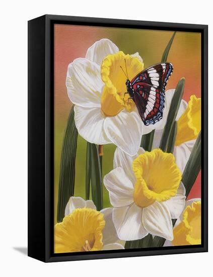 Daffodils and Butterfly-William Vanderdasson-Framed Premier Image Canvas