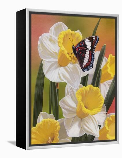 Daffodils and Butterfly-William Vanderdasson-Framed Premier Image Canvas