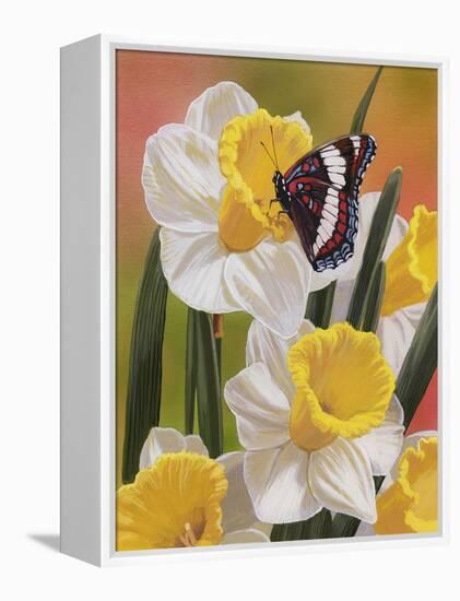 Daffodils and Butterfly-William Vanderdasson-Framed Premier Image Canvas