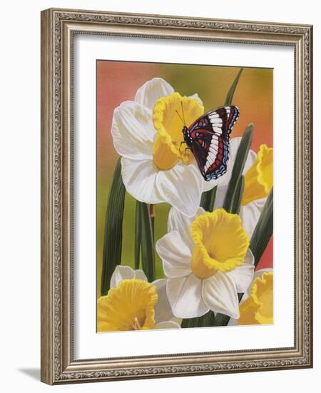 Daffodils and Butterfly-William Vanderdasson-Framed Giclee Print