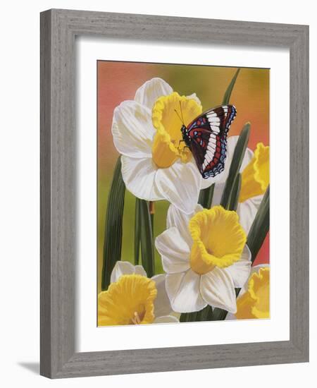 Daffodils and Butterfly-William Vanderdasson-Framed Giclee Print