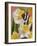 Daffodils and Butterfly-William Vanderdasson-Framed Giclee Print