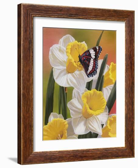 Daffodils and Butterfly-William Vanderdasson-Framed Giclee Print