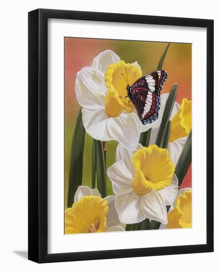 Daffodils and Butterfly-William Vanderdasson-Framed Giclee Print