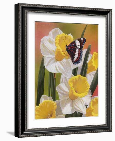 Daffodils and Butterfly-William Vanderdasson-Framed Giclee Print