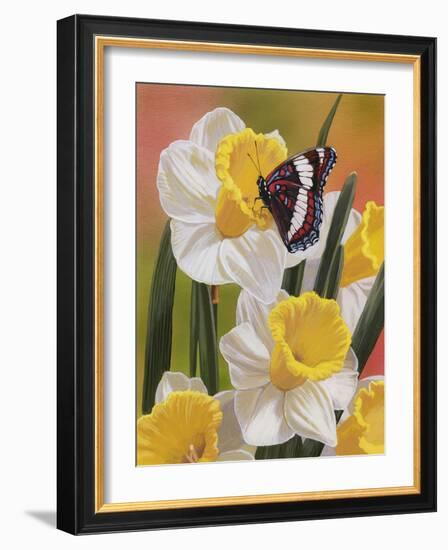 Daffodils and Butterfly-William Vanderdasson-Framed Giclee Print