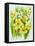 Daffodils and narcissus-Joan Thewsey-Framed Premier Image Canvas