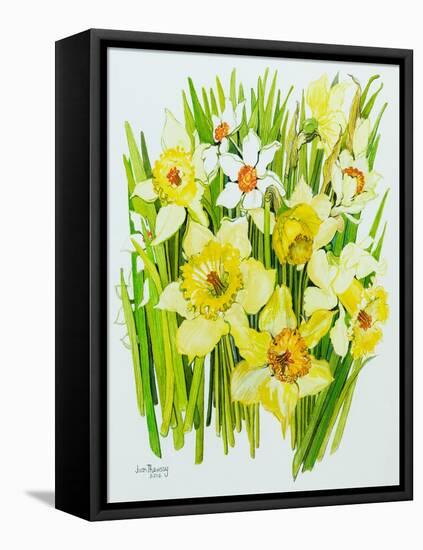 Daffodils and narcissus-Joan Thewsey-Framed Premier Image Canvas