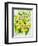 Daffodils and narcissus-Joan Thewsey-Framed Giclee Print