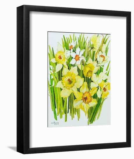 Daffodils and narcissus-Joan Thewsey-Framed Giclee Print