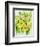 Daffodils and narcissus-Joan Thewsey-Framed Giclee Print