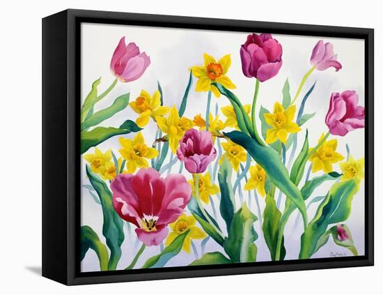Daffodils and Tulips-Christopher Ryland-Framed Premier Image Canvas