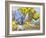 Daffodils, Antique Jugs, Plates, Textiles and Lace, 2012-Joan Thewsey-Framed Giclee Print