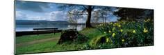 Photographic Print