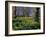 Daffodils Flowering in Spring in Hyde Park, London-Mark Mawson-Framed Photographic Print