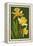 Daffodils - Green Background-Lantern Press-Framed Stretched Canvas
