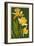 Daffodils - Green Background-Lantern Press-Framed Art Print