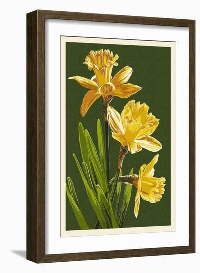 Daffodils - Green Background-Lantern Press-Framed Art Print