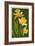 Daffodils - Green Background-Lantern Press-Framed Art Print