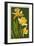 Daffodils - Green Background-Lantern Press-Framed Art Print