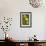 Daffodils - Green Background-Lantern Press-Framed Art Print displayed on a wall