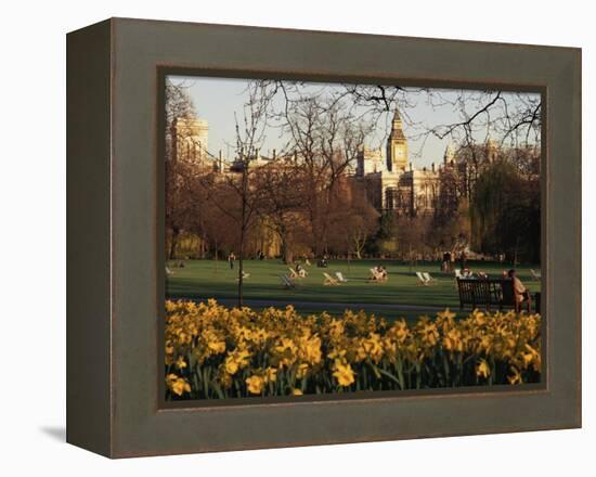 Daffodils in St. James's Park, with Big Ben Behind, London, England, United Kingdom-I Vanderharst-Framed Premier Image Canvas