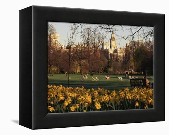 Daffodils in St. James's Park, with Big Ben Behind, London, England, United Kingdom-I Vanderharst-Framed Premier Image Canvas