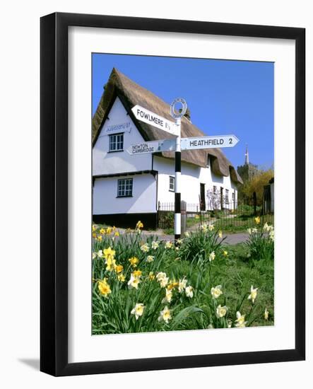 Daffodils, Road Sign and Cottage, Thriplow, Cambridgeshire-Peter Thompson-Framed Photographic Print