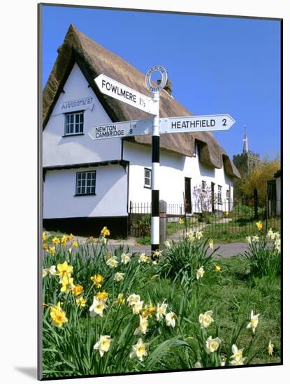 Daffodils, Road Sign and Cottage, Thriplow, Cambridgeshire-Peter Thompson-Mounted Photographic Print