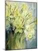 Daffodils, Uncle Remis and Ice Follies-Karen Armitage-Mounted Giclee Print