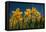 Daffodils-Ivonnewierink-Framed Premier Image Canvas