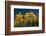 Daffodils-Ivonnewierink-Framed Photographic Print