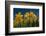 Daffodils-Ivonnewierink-Framed Photographic Print