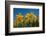 Daffodils-Ivonnewierink-Framed Photographic Print