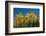 Daffodils-Ivonnewierink-Framed Photographic Print