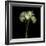 Daffodils-Magda Indigo-Framed Photographic Print