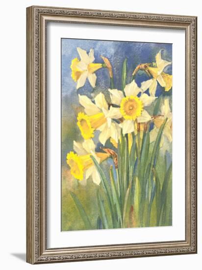 Daffodils-null-Framed Art Print